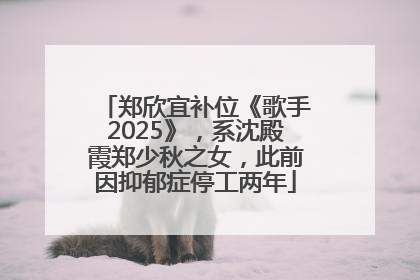 郑欣宜补位《歌手2025》，系沈殿霞郑少秋之女，此前因抑郁症停工两年
