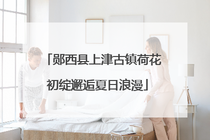 郧西县上津古镇荷花初绽邂逅夏日浪漫