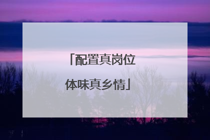 配置真岗位 体味真乡情