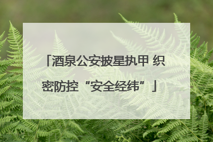 酒泉公安披星执甲 织密防控“安全经纬”