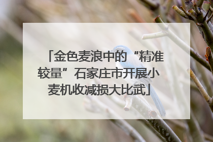 金色麦浪中的“精准较量”石家庄市开展小麦机收减损大比武