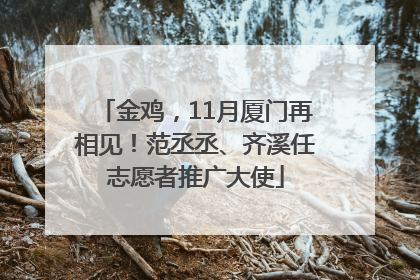 金鸡，11月厦门再相见！范丞丞、齐溪任志愿者推广大使