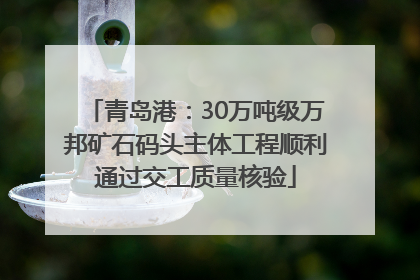 青岛港：30万吨级万邦矿石码头主体工程顺利通过交工质量核验