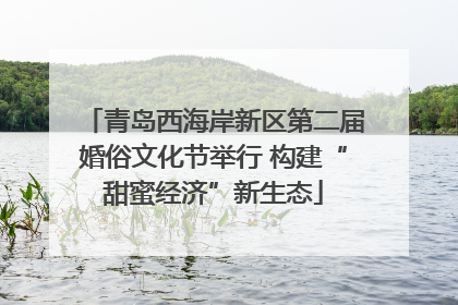 青岛西海岸新区第二届婚俗文化节举行 构建“甜蜜经济”新生态