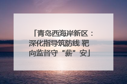 青岛西海岸新区：深化指导筑防线 靶向监督守“薪”安