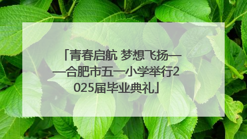 青春启航 梦想飞扬——合肥市五一小学举行2025届毕业典礼
