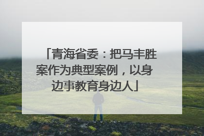 青海省委：把马丰胜案作为典型案例，以身边事教育身边人
