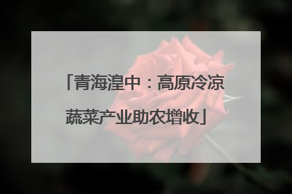 青海湟中：高原冷凉蔬菜产业助农增收