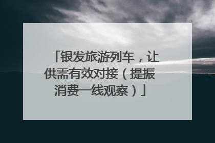 银发旅游列车，让供需有效对接（提振消费一线观察）