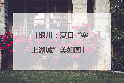 银川：夏日“塞上湖城”美如画
