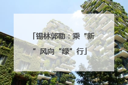 锡林郭勒：乘“新”风向“绿”行