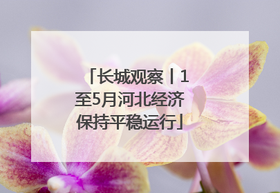 长城观察丨1至5月河北经济保持平稳运行