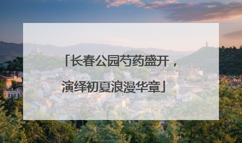 长春公园芍药盛开，演绎初夏浪漫华章