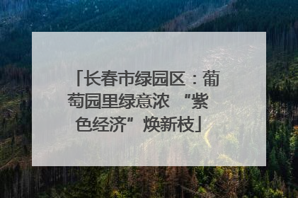 长春市绿园区：葡萄园里绿意浓 “紫色经济”焕新枝