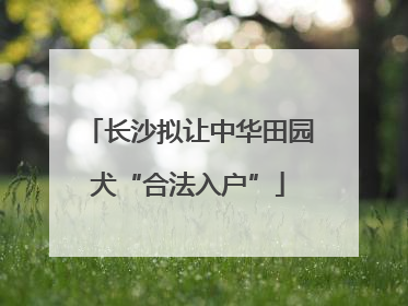 长沙拟让中华田园犬“合法入户”