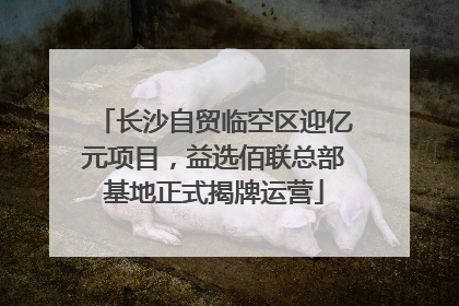 长沙自贸临空区迎亿元项目，益选佰联总部基地正式揭牌运营