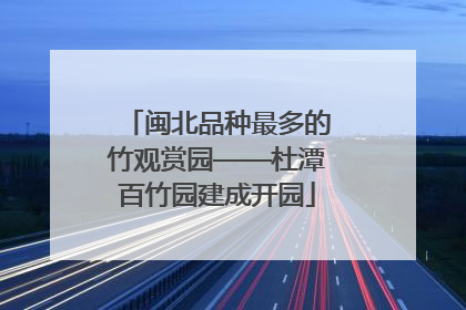 闽北品种最多的竹观赏园——杜潭百竹园建成开园