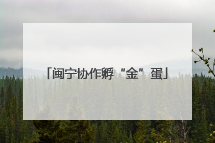 闽宁协作孵“金”蛋