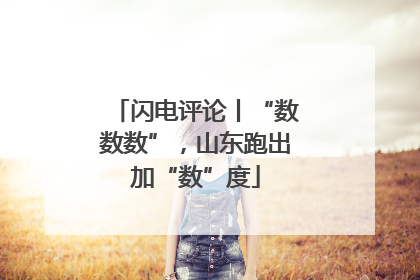 闪电评论丨“数数数”，山东跑出加“数”度