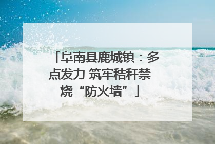阜南县鹿城镇：多点发力 筑牢秸秆禁烧“防火墙”