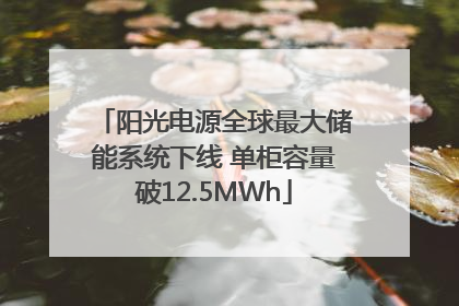 阳光电源全球最大储能系统下线 单柜容量破12.5MWh