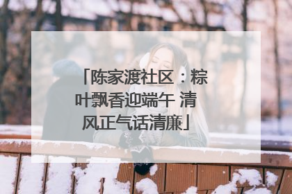 陈家渡社区：粽叶飘香迎端午 清风正气话清廉