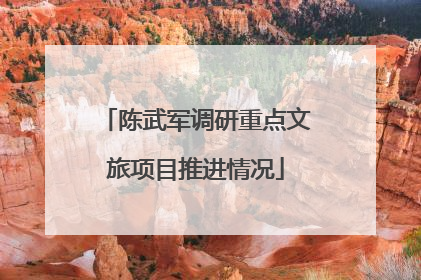 陈武军调研重点文旅项目推进情况