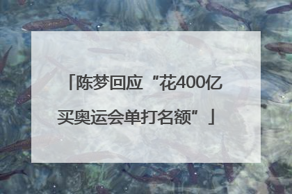陈梦回应“花400亿买奥运会单打名额”