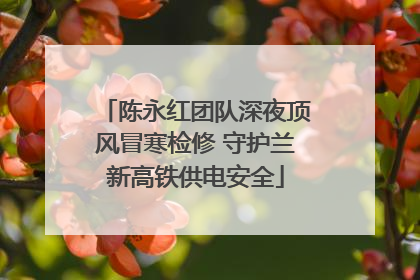 陈永红团队深夜顶风冒寒检修 守护兰新高铁供电安全