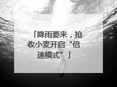降雨要来，抢收小麦开启“倍速模式”