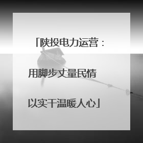 陕投电力运营：用脚步丈量民情 以实干温暖人心