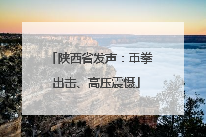 陕西省发声：重拳出击、高压震慑