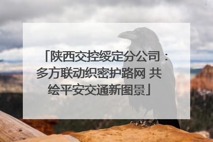 陕西交控绥定分公司：多方联动织密护路网 共绘平安交通新图景
