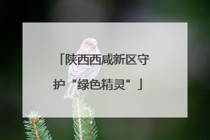 陕西西咸新区守护“绿色精灵”