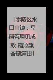 零陵区水口山镇：早稻管理见成效 稻浪飘香穗满田