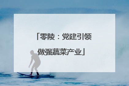 零陵：党建引领 做强蔬菜产业
