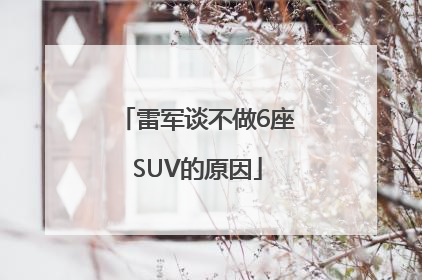 雷军谈不做6座SUV的原因