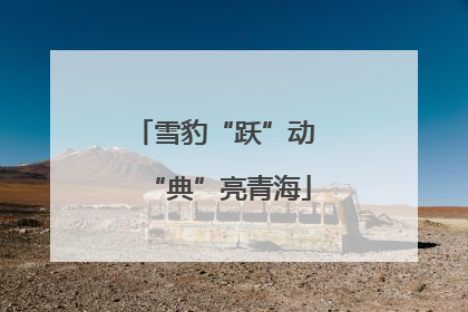 雪豹“跃”动 “典”亮青海