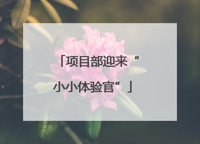 项目部迎来“小小体验官”