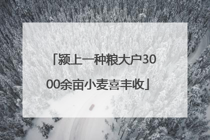 颍上一种粮大户3000余亩小麦喜丰收