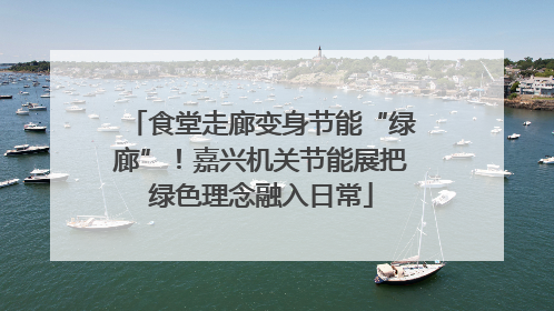 食堂走廊变身节能“绿廊”！嘉兴机关节能展把绿色理念融入日常