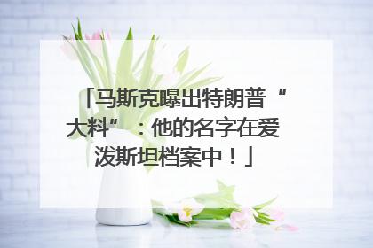 马斯克曝出特朗普“大料”：他的名字在爱泼斯坦档案中！