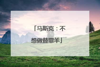 马斯克：不想做替罪羊