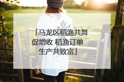马龙区稻渔共舞促增收 稻渔订单生产共致富