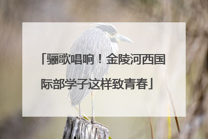 骊歌唱响！金陵河西国际部学子这样致青春