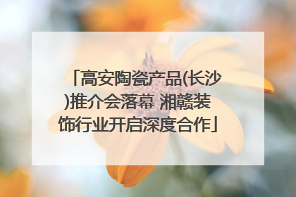 高安陶瓷产品(长沙)推介会落幕 湘赣装饰行业开启深度合作