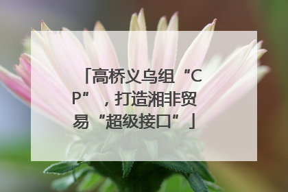 高桥义乌组“CP”，打造湘非贸易“超级接口”