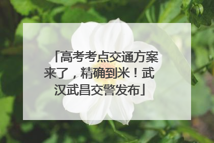 高考考点交通方案来了，精确到米！武汉武昌交警发布