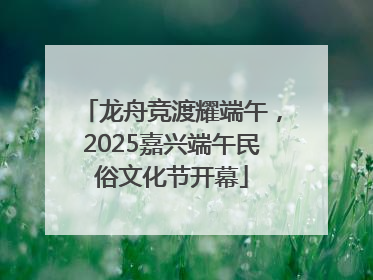 龙舟竞渡耀端午，2025嘉兴端午民俗文化节开幕