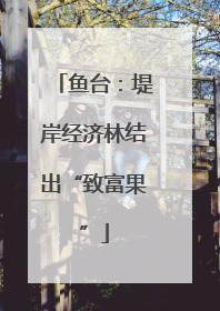 鱼台：堤岸经济林结出“致富果”